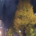 【あと少し】今年もあと少しですね