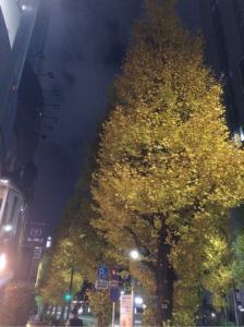 【あと少し】今年もあと少しですね