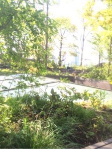 お気に入りスポット