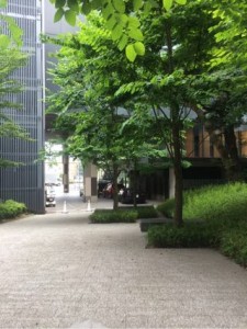 原宿の癒しスポット