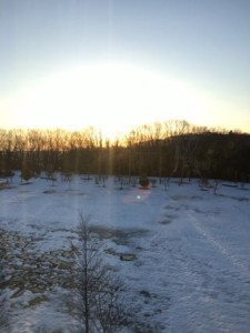 おはようございます