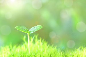 【QandA】おでこが狭く背が高い。若く可愛いく見えるようにするには?