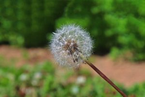 【QandA】パーマした髪の毛に使わないほうがいいものってありますか？