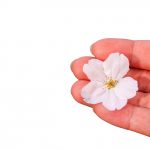 【QandA】ヘアドネーションには髪の長さが足りません。どうすればいいでしょうか？