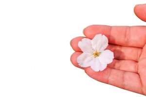 【QandA】ヘアドネーションには髪の長さが足りません。どうすればいいでしょうか？