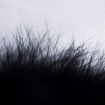 【QandA】ヘッドスパをすれば抜け毛は減りますか?