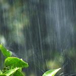 【QandA】パーマをかけたらセットは1日もちますか？