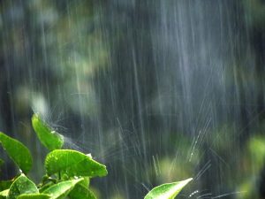 【QandA】パーマをかけたらセットは1日もちますか？