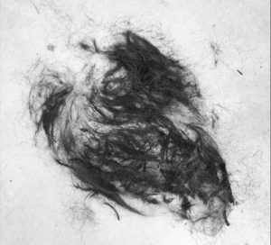 【QandA】妊娠中におきやすい髪の毛のトラブルと対処法を教えてください【@原宿】