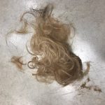 15センチからのヘアドネーションについて【@原宿】