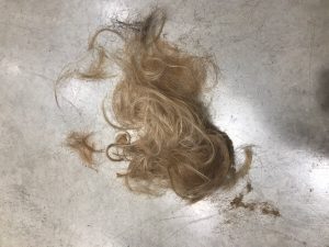 15センチからのヘアドネーションについて【@原宿】