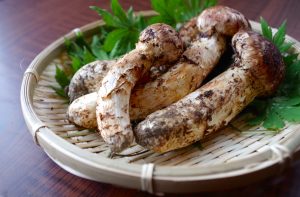 【原宿の美容師が教える】髪の毛にいい秋の味覚3選