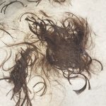 【ヘアドネーション】女優の片瀬那奈さんも髪の毛を寄付！