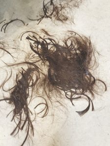 【ヘアドネーション】女優の片瀬那奈さんも髪の毛を寄付！