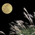 【原宿の美容師が教える】髪のためにぐっすり寝る方法3選