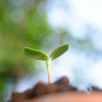 【QandA】髪の毛の伸びが早くなる育毛剤などってありますか？【@原宿】