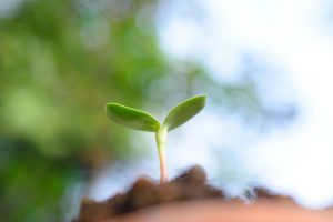 【QandA】髪の毛の伸びが早くなる育毛剤などってありますか？【@原宿】