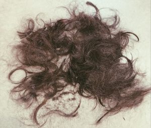 【QandA】カラー専門店とサロン。どっちで染めるのがいい?【@原宿】